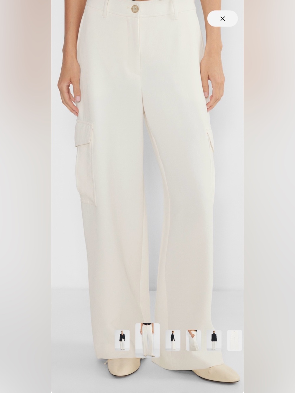 Aritzia Bridger Cargo Pants